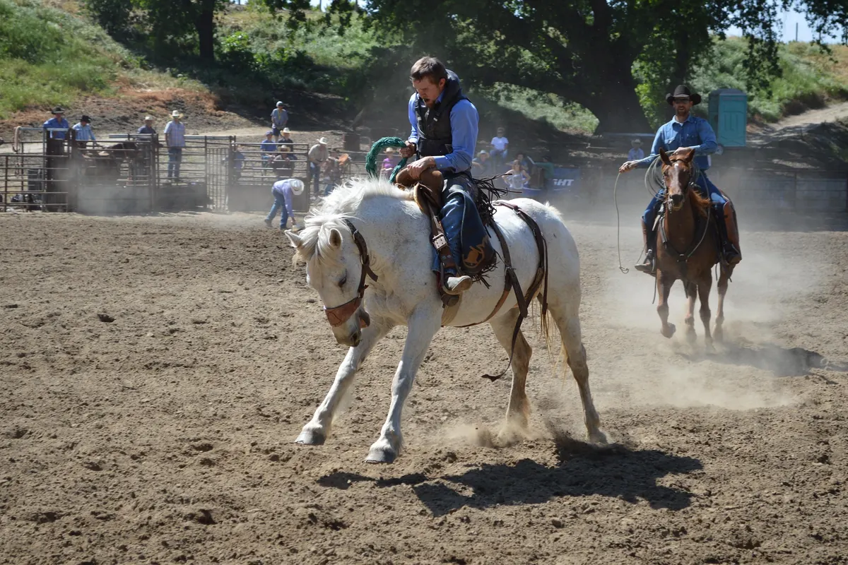 Riders competing in the arena at a regional rodeo