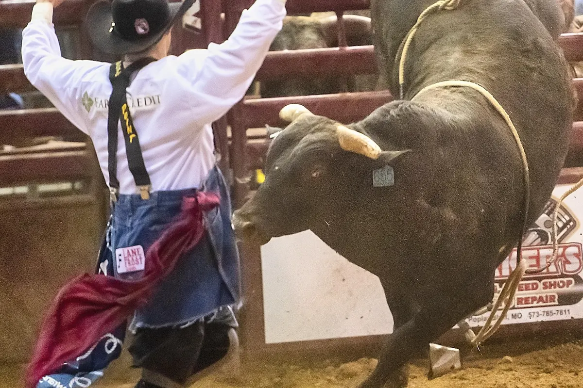 Bronc rider in competition