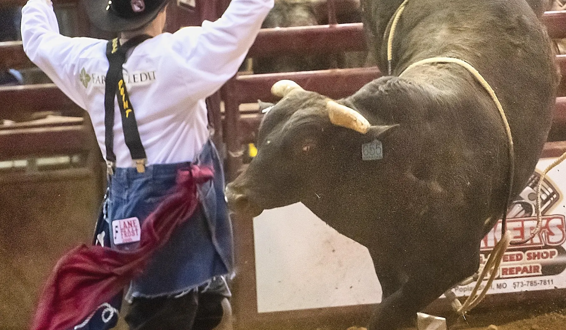 Bronc rider competing in the rodeo arena