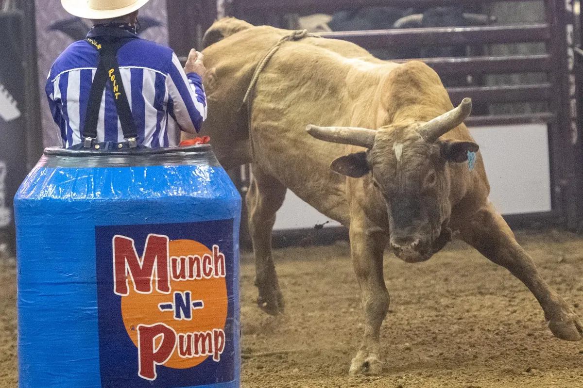 Fast-paced action at a regional rodeo