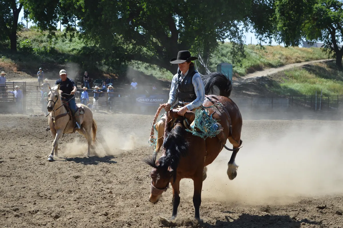 Riders and visitors enjoying the rodeo grounds